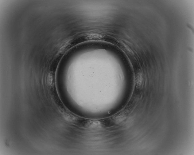 X0000091240715200708301539