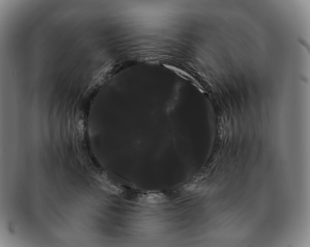 X0000091240716200708301539