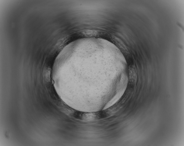 X0000091240717200708301539