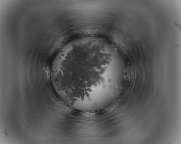 X0000091240718200708301539