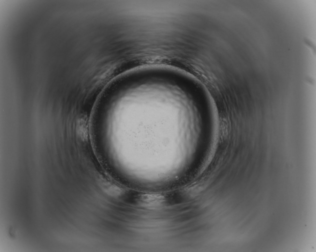 X0000091240719200708301539