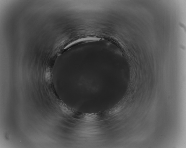 X0000091240720200708301539