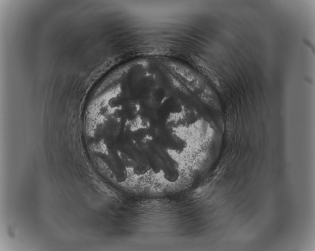 X0000091240721200708301538