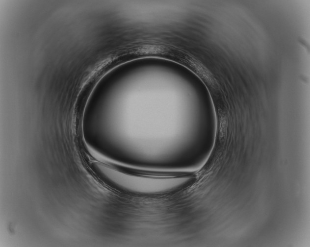 X0000091240722200708301538