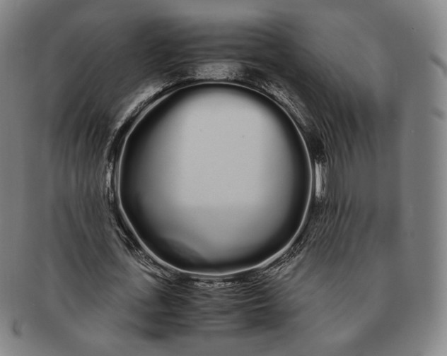 X0000091240723200708301538