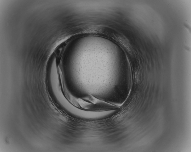 X0000091240724200708301538