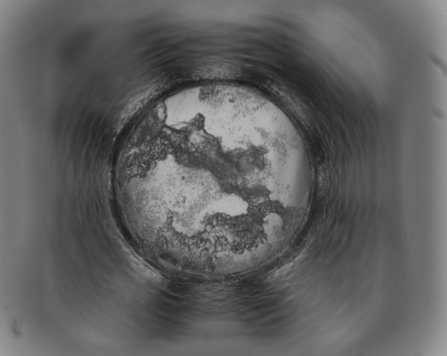 X0000091240725200708301538