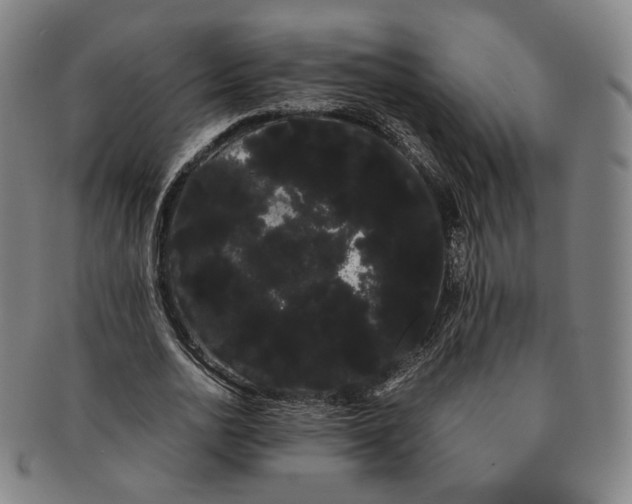 X0000091240726200708301538