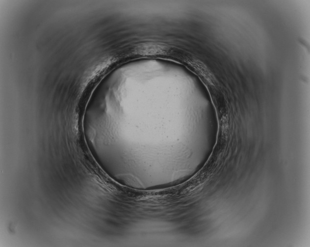 X0000091240727200708301538