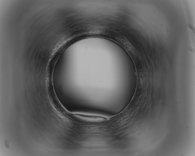 X0000091240728200708301538