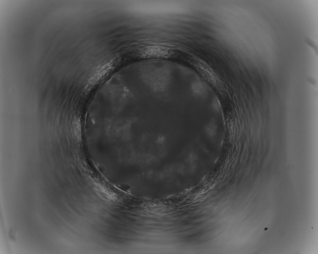 X0000091240729200708301538