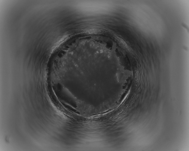 X0000091240730200708301538