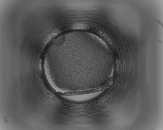 X0000091240731200708301538