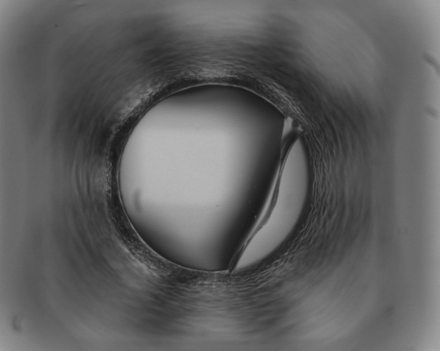 X0000091240732200708301538