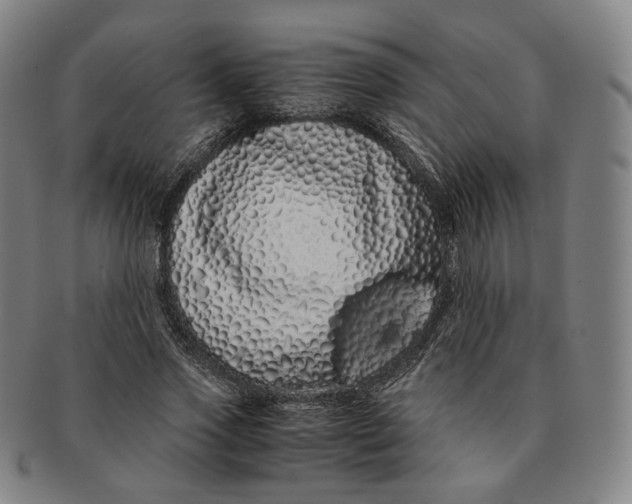 X0000091240733200708301538