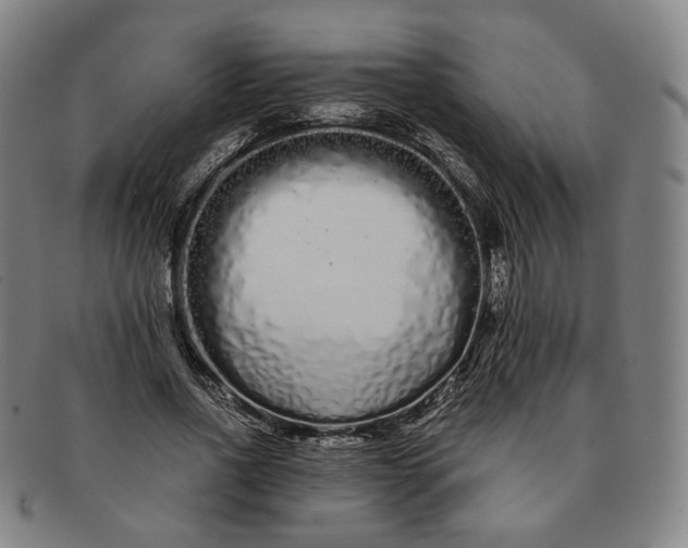 X0000091240734200708301538