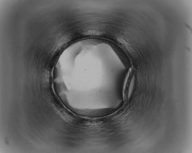 X0000091240735200708301538