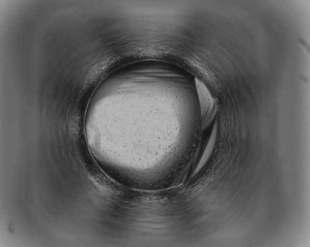 X0000091240736200708301538