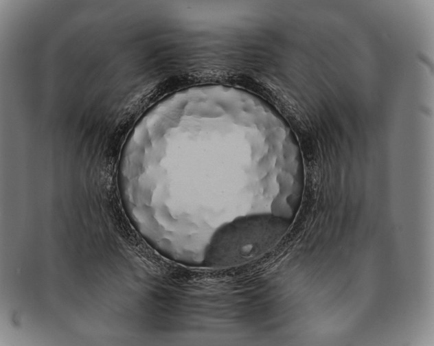 X0000091240737200708301538