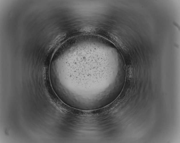 X0000091240738200708301538