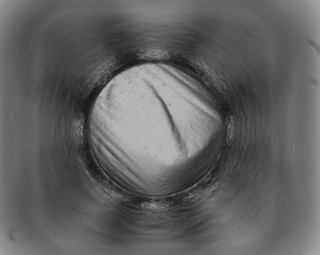 X0000091240739200708301538