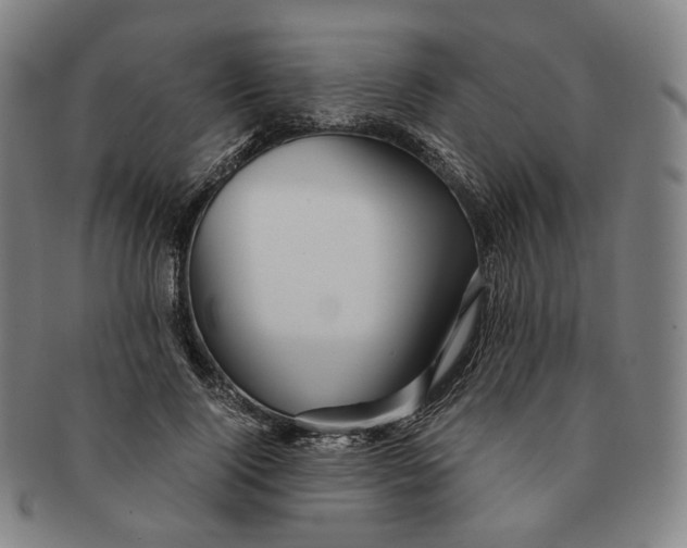 X0000091240740200708301538