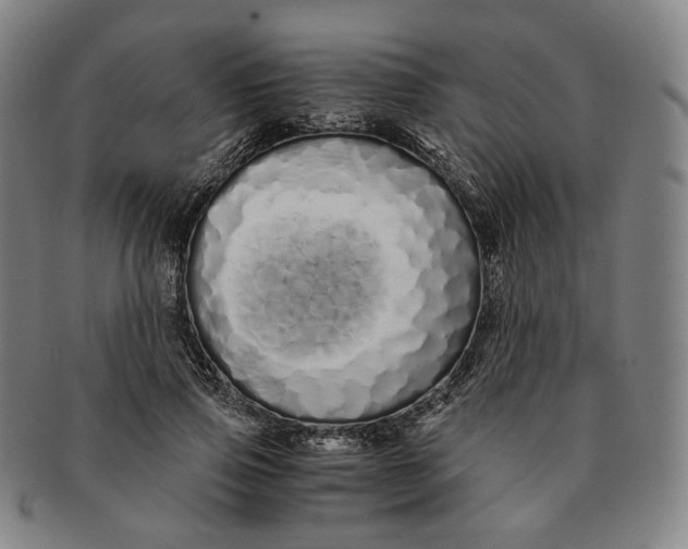 X0000091240741200708301538