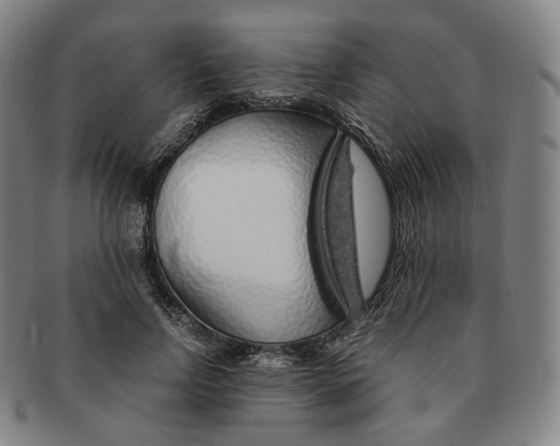 X0000091240742200708301538