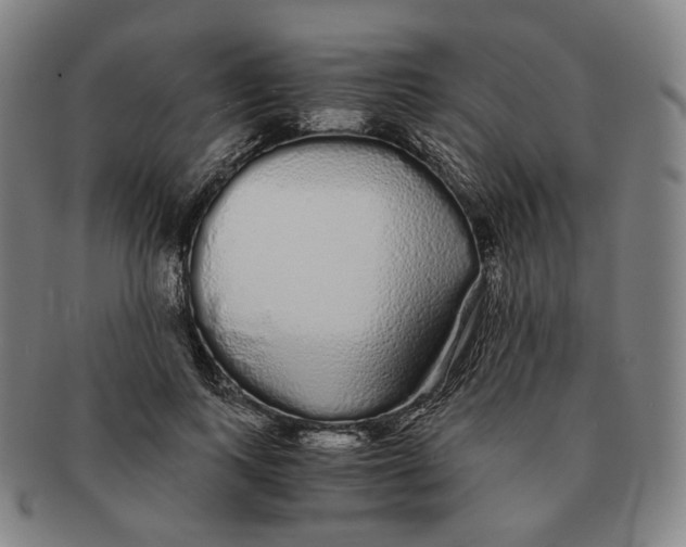 X0000091240743200708301538