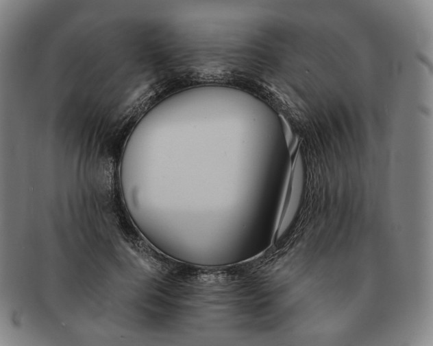 X0000091240744200708301538