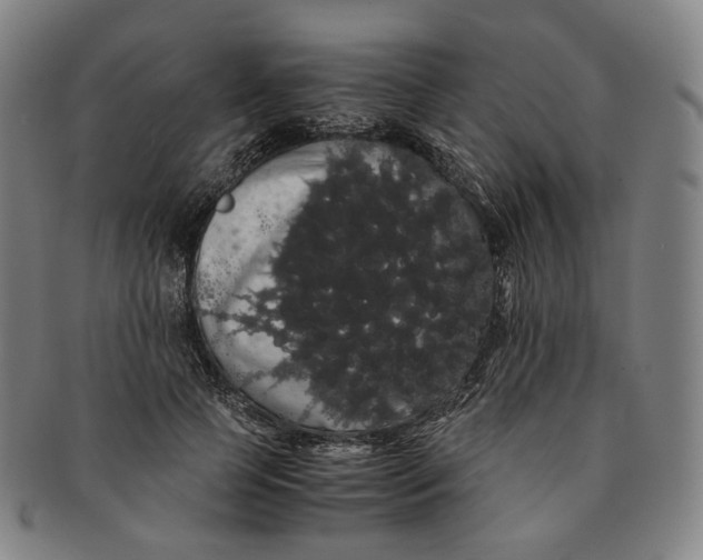 X0000091240745200708301538