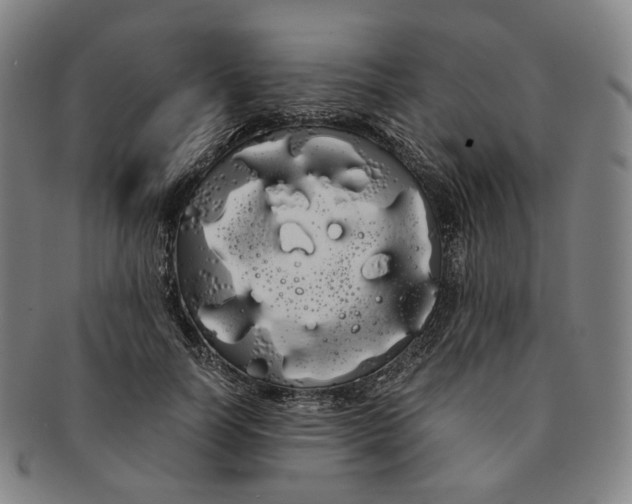 X0000091240746200708301538