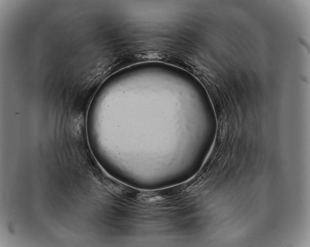 X0000091240747200708301538