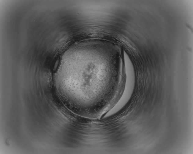 X0000091240748200708301538