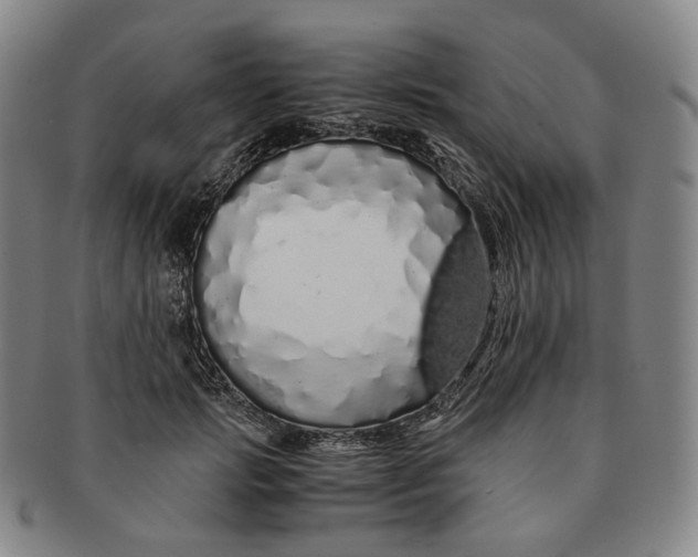 X0000091240749200708301538