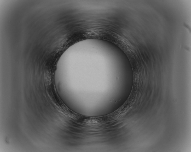 X0000091240751200708301538