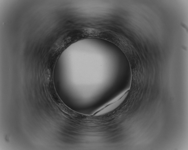 X0000091240752200708301538