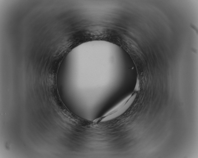 X0000091240756200708301538