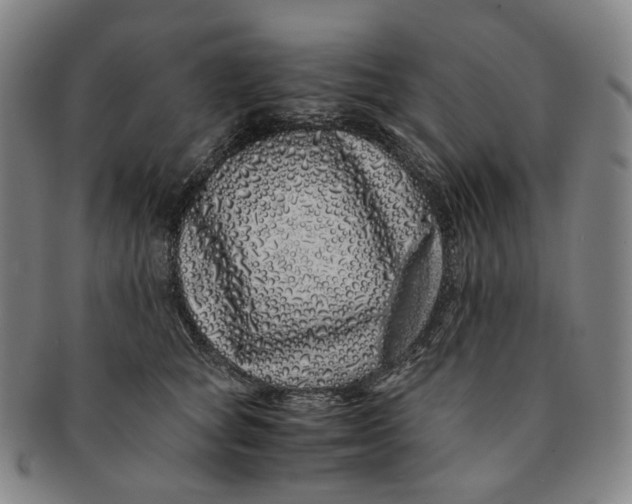 X0000091240757200708301538