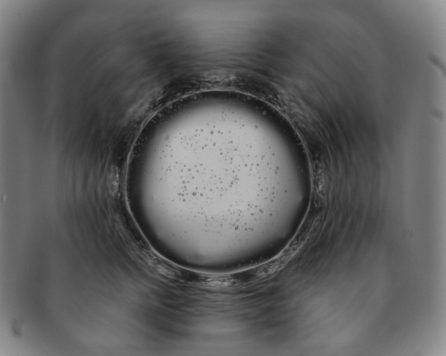 X0000091240758200708301538