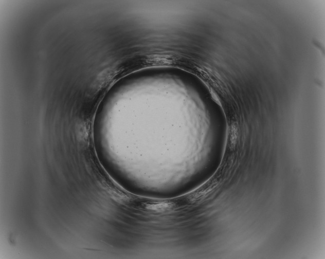 X0000091240759200708301538