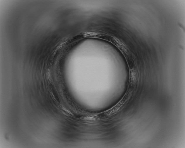 X0000091240761200708301538