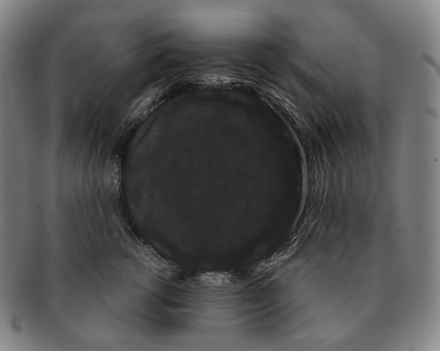 X0000091240762200708301538