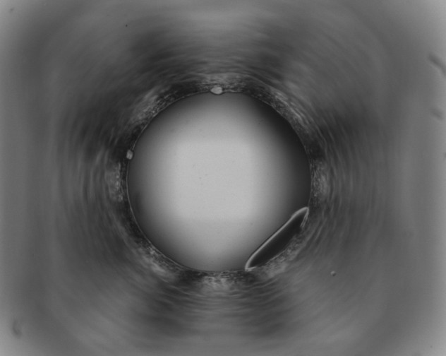 X0000091240764200708301539