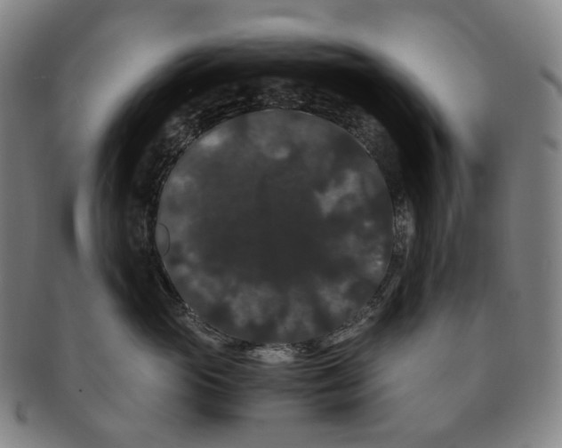 X0000091240765200708301539