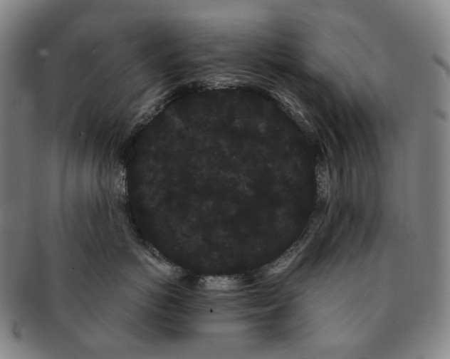 X0000091240766200708301539