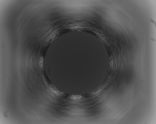 X0000091240767200708301539