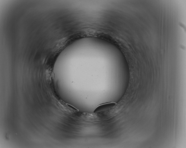 X0000091240768200708301539