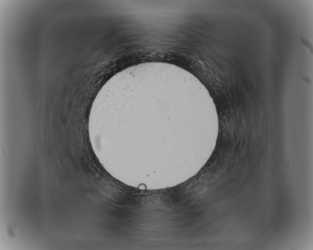 X0000091240769200708301538