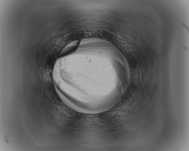 X0000091240770200708301538